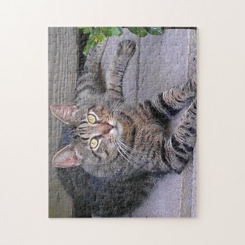 Brown Tabby Cat Outdoors Jigsaw Puzzle