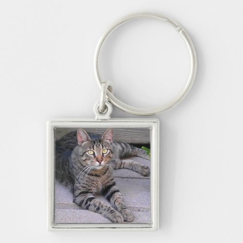 Brown Tabby Cat Outdoors Keychain