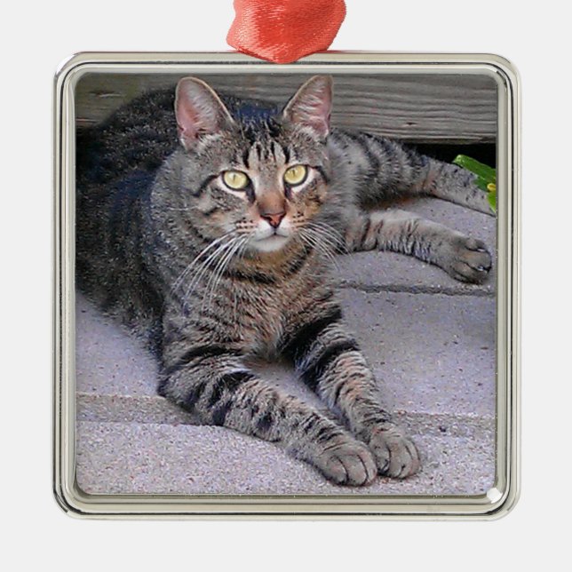 Brown Tabby Cat Outdoors Metal Ornament (Front)