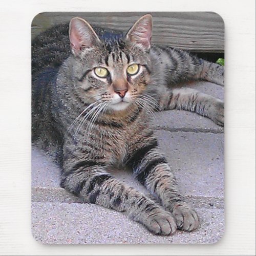 Brown Tabby Cat Outdoors Mouse Pad