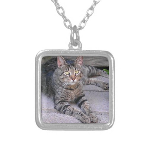 Brown Tabby Cat Outdoors Silver Plated Necklace