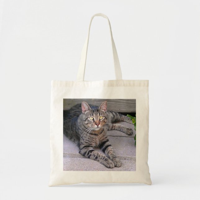 Brown Tabby Cat Outdoors Tote Bag (Front)