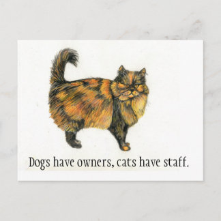 Brown Tabby Cat Postcard