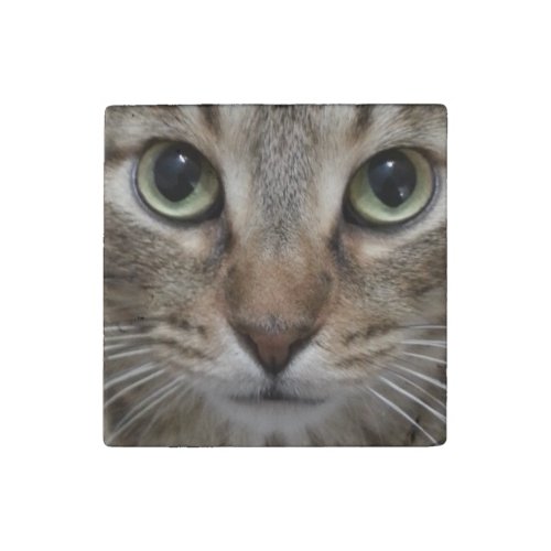 Brown Tabby Cat Stone Magnet