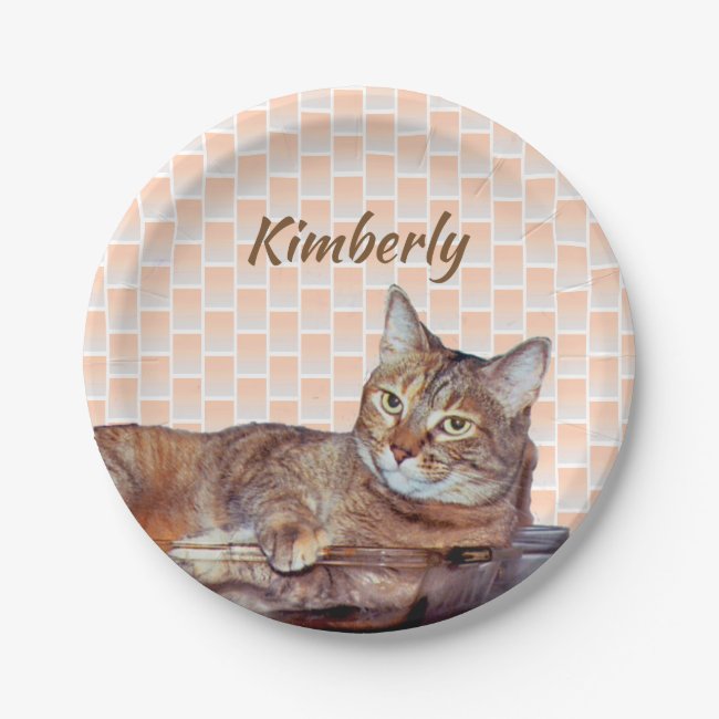 Brown Tabby Cat with Orange Pattern Paper Plates