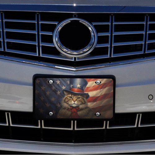 Brown Tabby Cat with Patriotic Top Hat  USA Flag License Plate