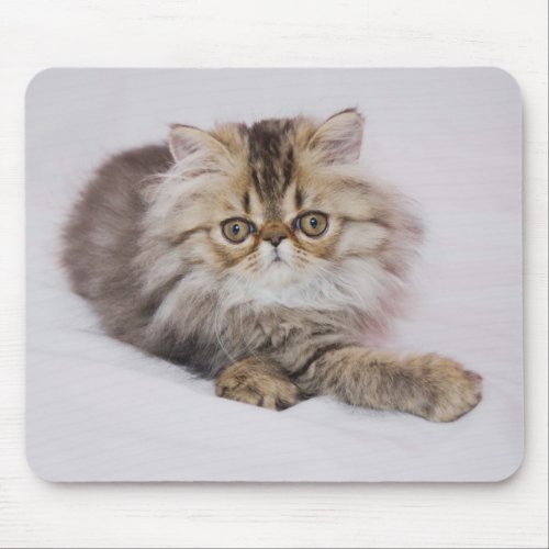 Brown Tabby Kitten Mouse Pad