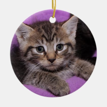 BROWN TABBY KITTEN ORNAMENT