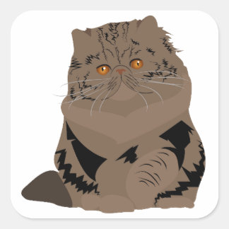 brown tabby persian cat square sticker