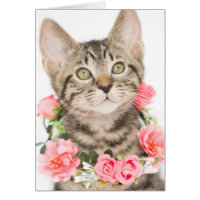 Brown Tabby Wearing Flower Necklace Valentine Card