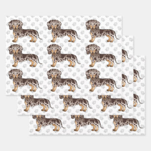 Brown & Tan Dapple Short Hair Dachshund Pattern Wrapping Paper Sheets