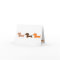 Brown Tan & Orange Dachshunds Masculine Greeting