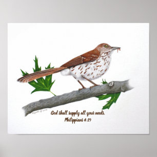 Brown Thrasher 14x11 Inspirational Print