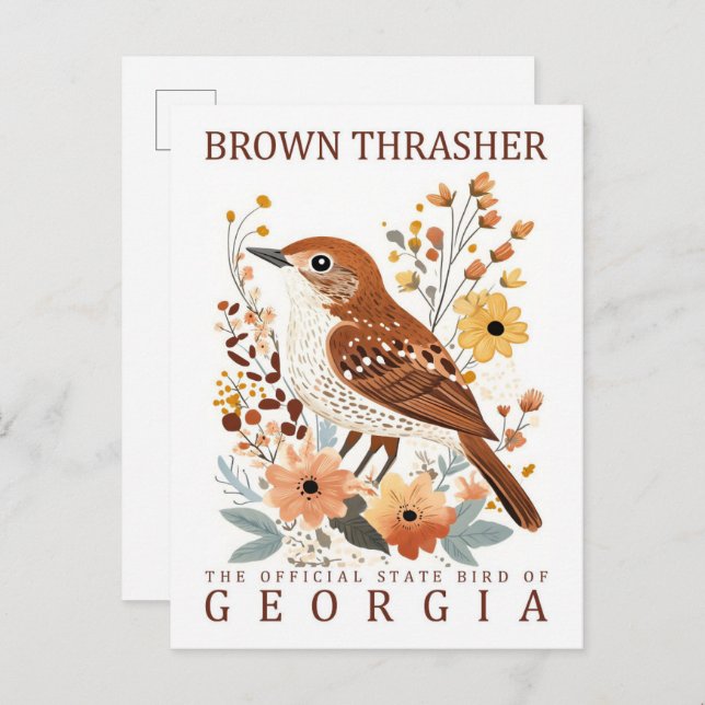 Brown Thrasher Bird of Georgia USA Travel Postcard (Front/Back)