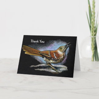 Brown Thrasher: Bird: Wildlife Art: Thank You