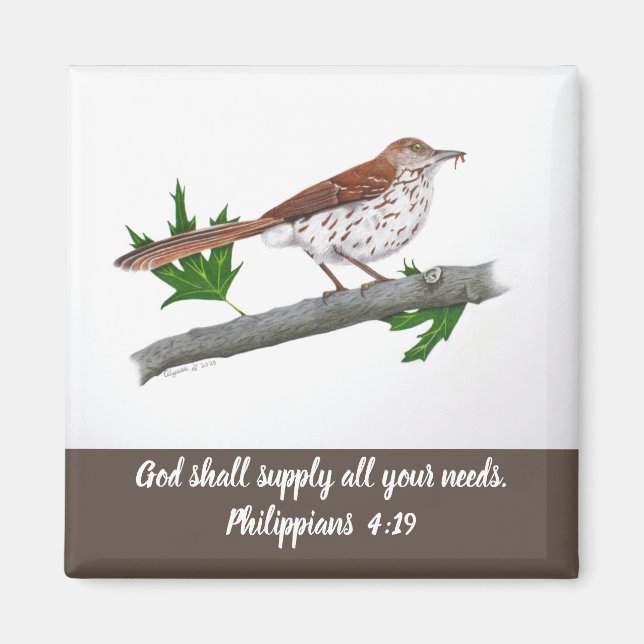 Brown Thrasher Inspirational Magnet (Front)