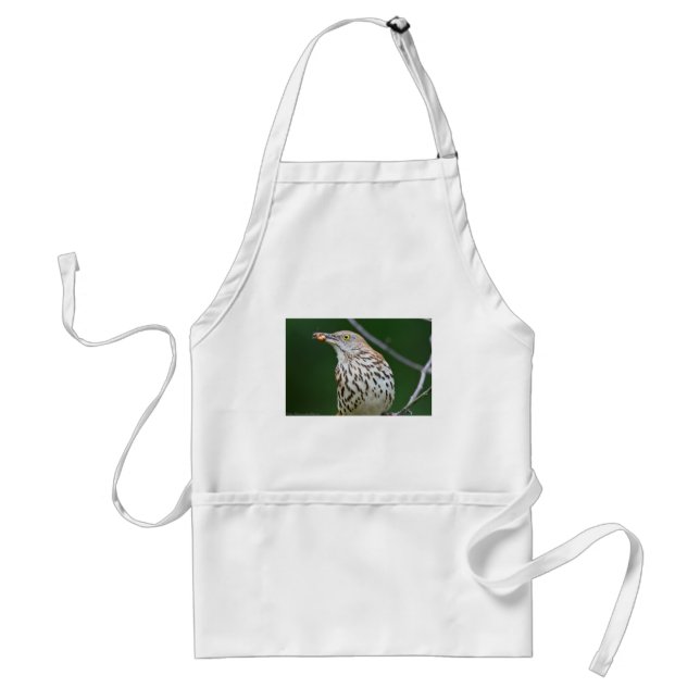 Brown Thrasher w/ Catch Of the Day Gifts Apparel Adult Apron (Front)