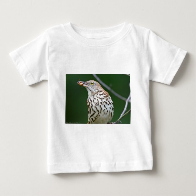 Brown Thrasher w/ Catch Of the Day Gifts Apparel Baby T-Shirt (Front)