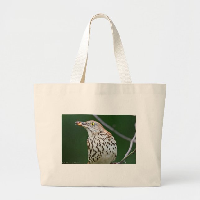 Brown Thrasher w/ Catch Of the Day Gifts Apparel Large Tote Bag (Front)