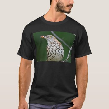 Brown Thrasher W/ Catch Of The Day Gifts Apparel T-shirt by leehillerloveadvice at Zazzle