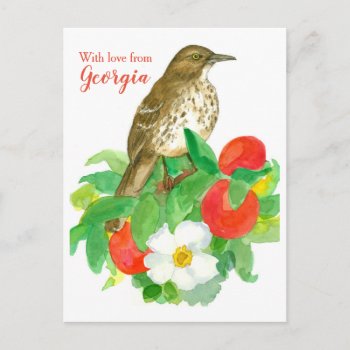 Brown Thrasher With Love From Georgia Postcard by CountryGarden at Zazzle