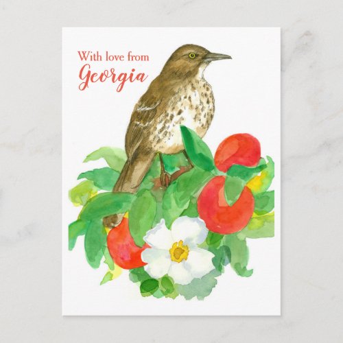 Brown Thrasher With Love From Georgia Postcard