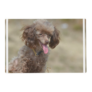 Brown Toy Poodle Placemat