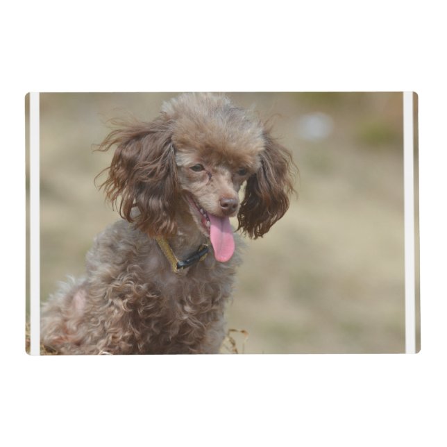 Brown Toy Poodle Placemat (Back)