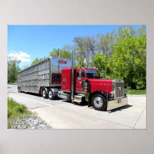 Brown Transport 379 Poster