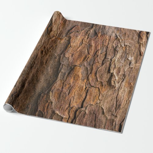 Brown tree bark in closeup photography wrapping paper