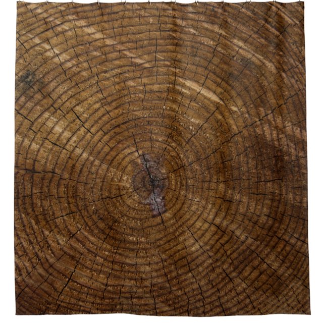 Brown tree trunk shower curtain (Front)