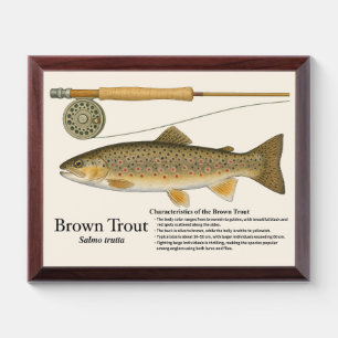Brown Trout Art Print – Wood Plaque Edition