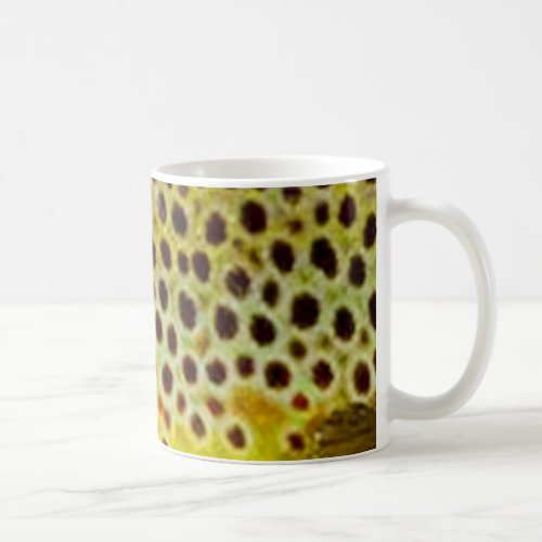 Brown Trout by PatternWear Coffee Mug