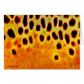 Brown Trout - Card (Front Horizontal)