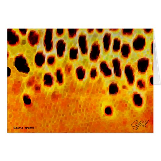 Brown Trout - Card (Front Horizontal)