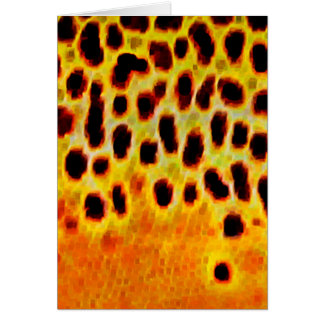 Brown Trout - Card