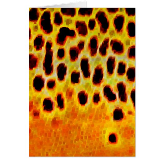 Brown Trout - Card (Front)