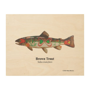 Brown Trout; Female; Wood Wall Art