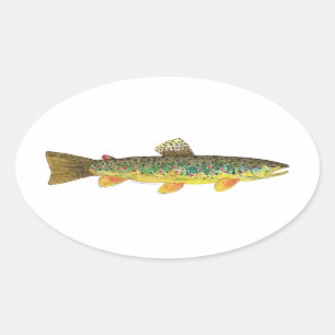 Brown Trout Fishing Oval Sticker