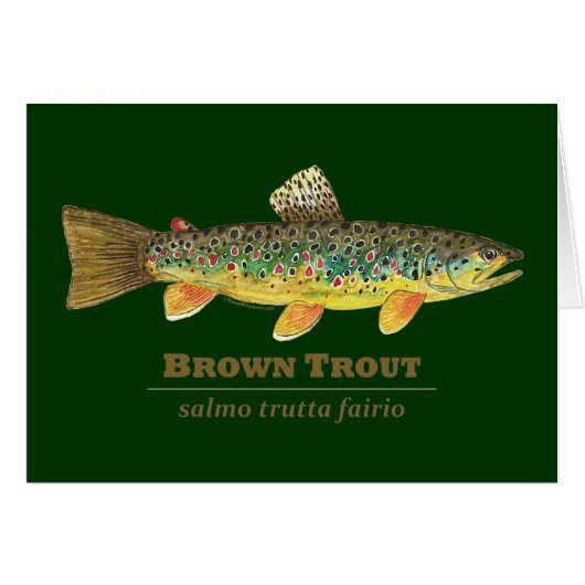 Brown Trout Latin Ichthyology Cards (Front Horizontal)