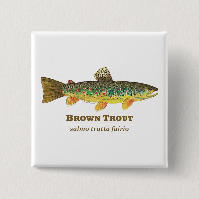 Brown Trout Latin Ichthyology Pinback Button (Front)