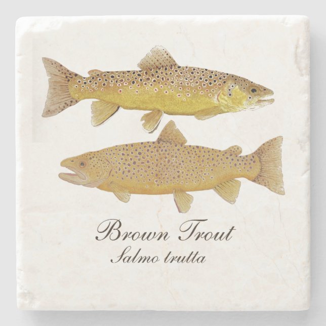 Brown Trout Marble Coaster (Front)