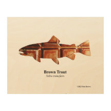 Brown Trout; Spawning Male; Wood print; 10"x8"