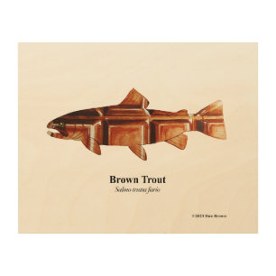 Brown Trout; Spawning Male; Wood print; 10"x8" Wood Wall Art