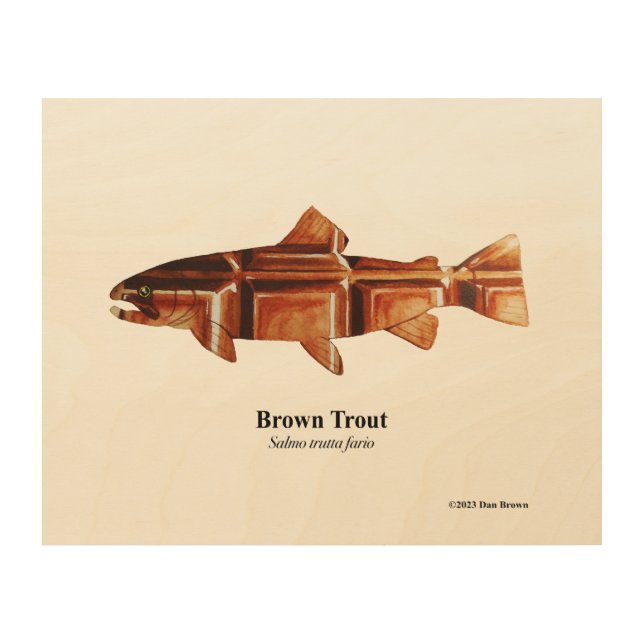 Brown Trout; Spawning Male; Wood print; 10"x8" Wood Wall Art (Front)