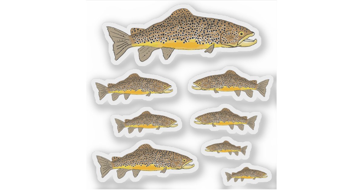 Brown Trout Sticker Zazzle