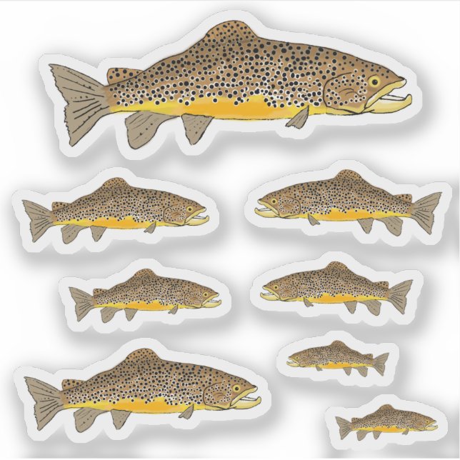 Brown Trout Sticker (Front)