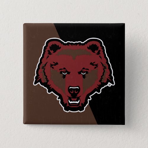 Brown University Color Block Distressed Button