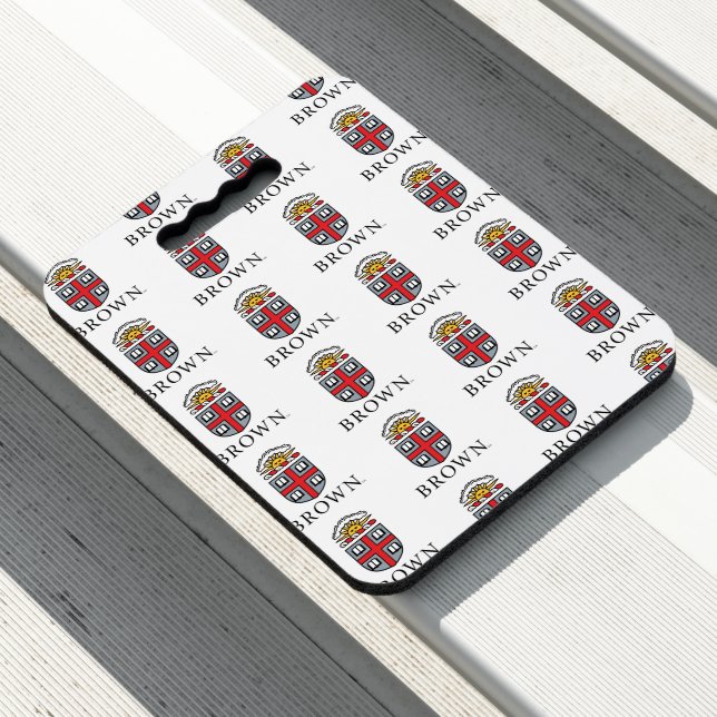 Brown University | Shield Seat Cushion (In Situ)