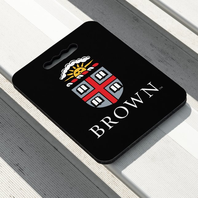 Brown University | Shield Seat Cushion (In Situ)